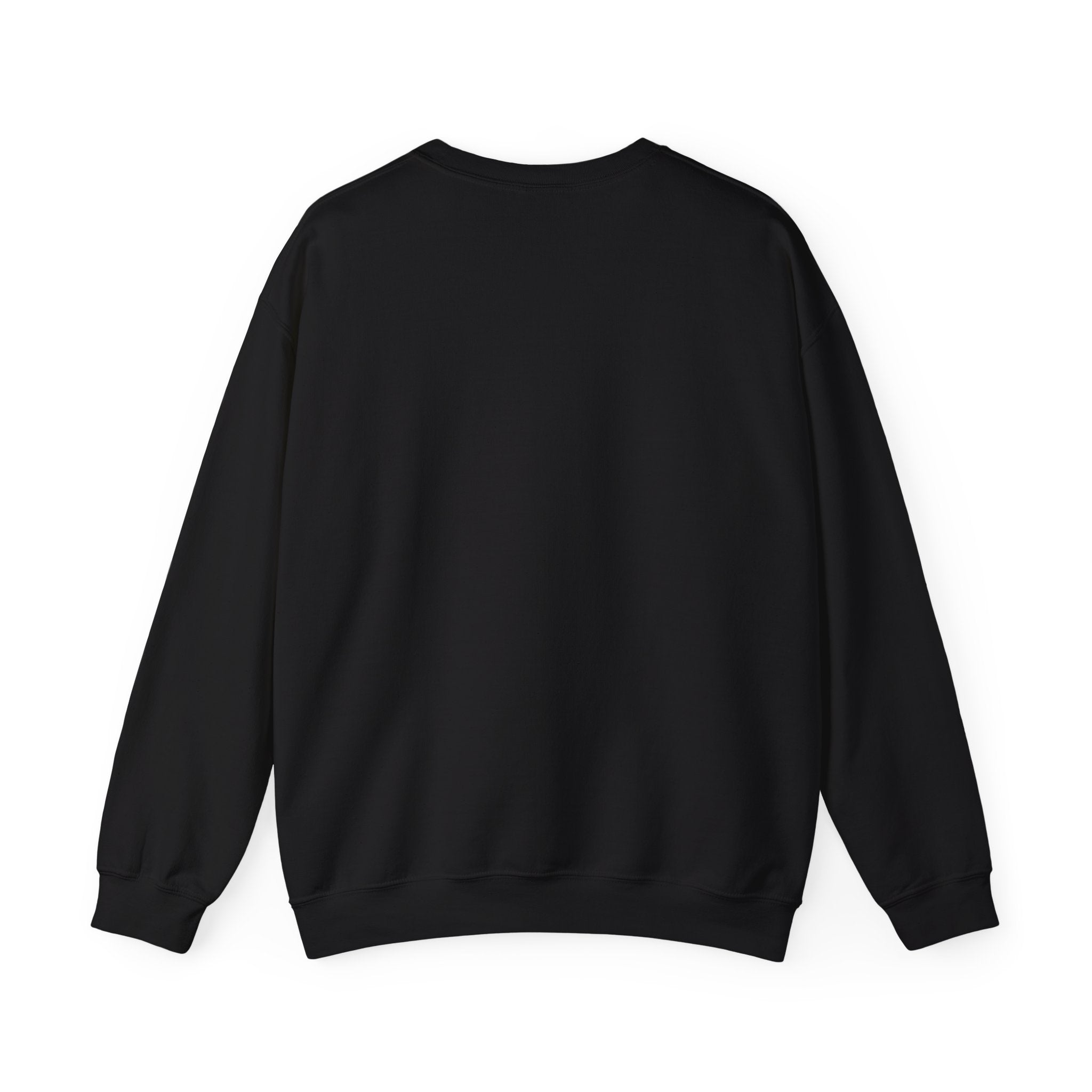Soft Chaos - Chaotic Introvert Sweatshirt — Crewneck