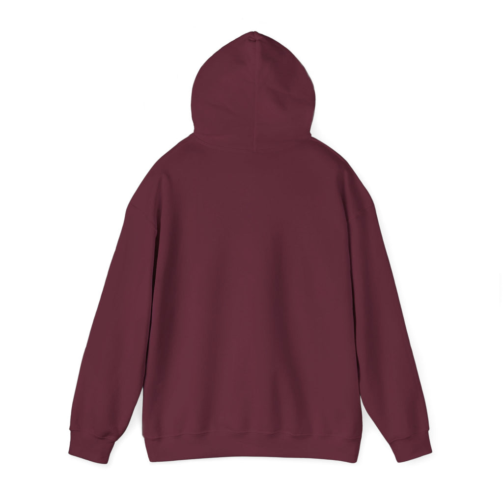 Soft Chaos - Apparel By Alexander Collection - Hoodie