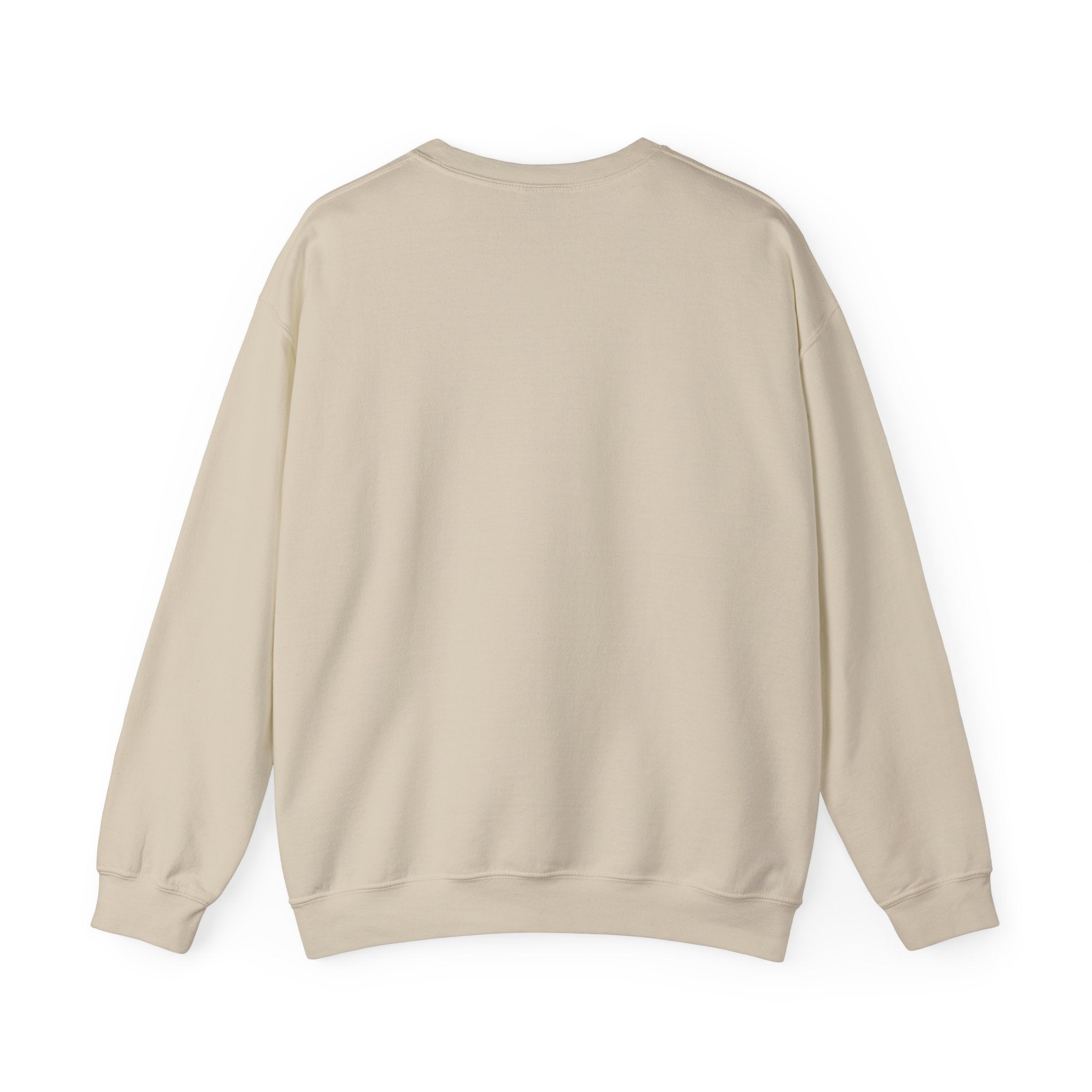Soft Chaos - Chaotic Introvert Sweatshirt — Crewneck