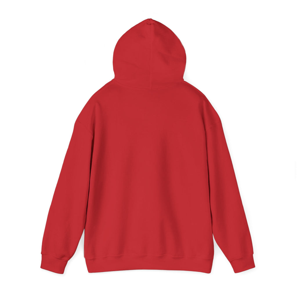 Soft Chaos - Apparel By Alexander Collection - Hoodie