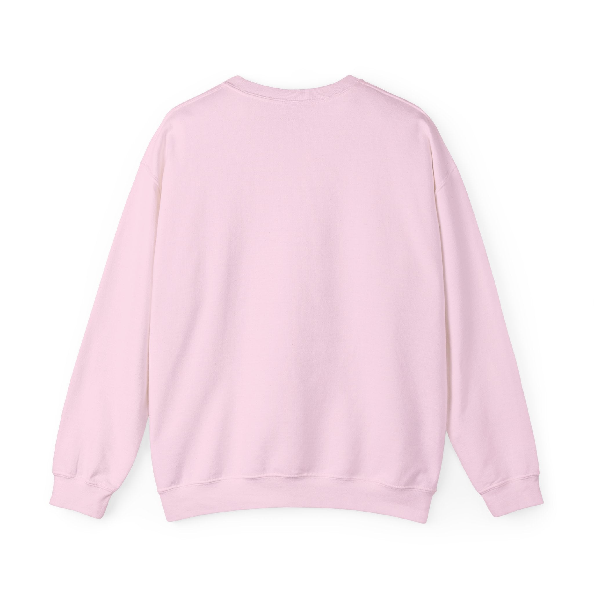 Soft Chaos - Chaotic Introvert Sweatshirt — Crewneck