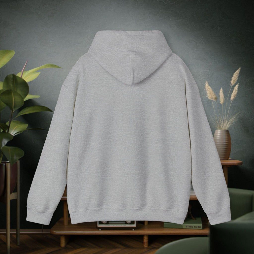 Cozy Feral Era Raccoon Hoodie | Chaotic Introvert Humor Sweatshirt