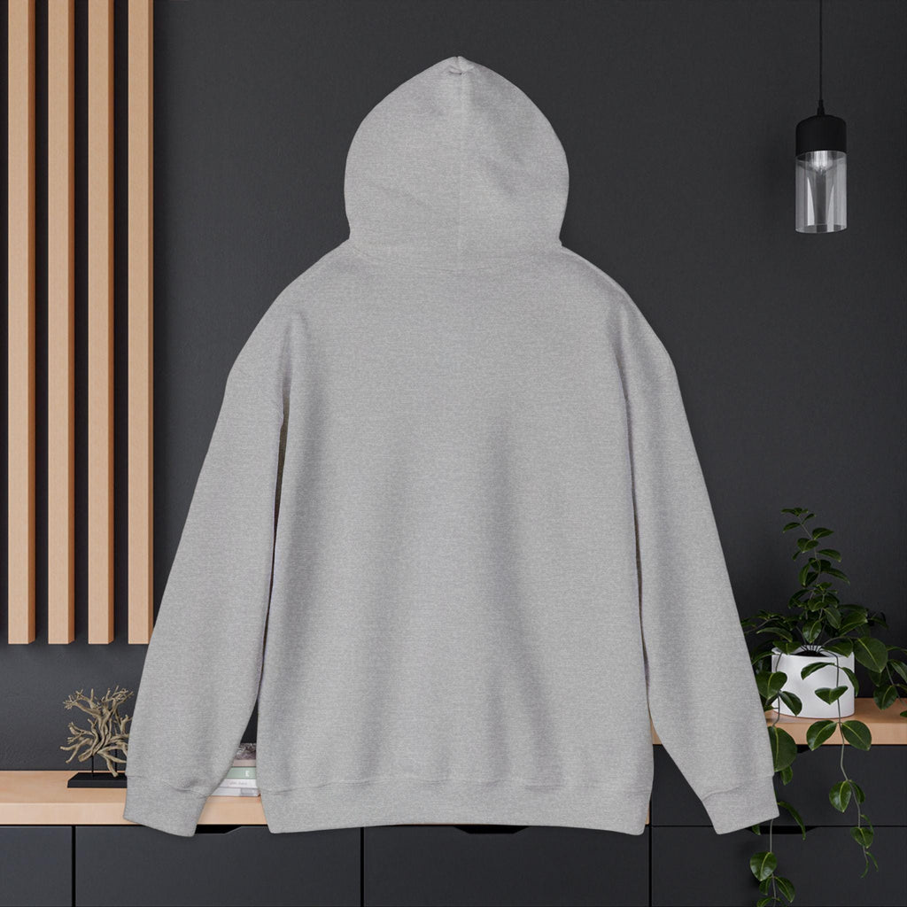 Cozy Feral Era Raccoon Hoodie | Chaotic Introvert Humor Sweatshirt